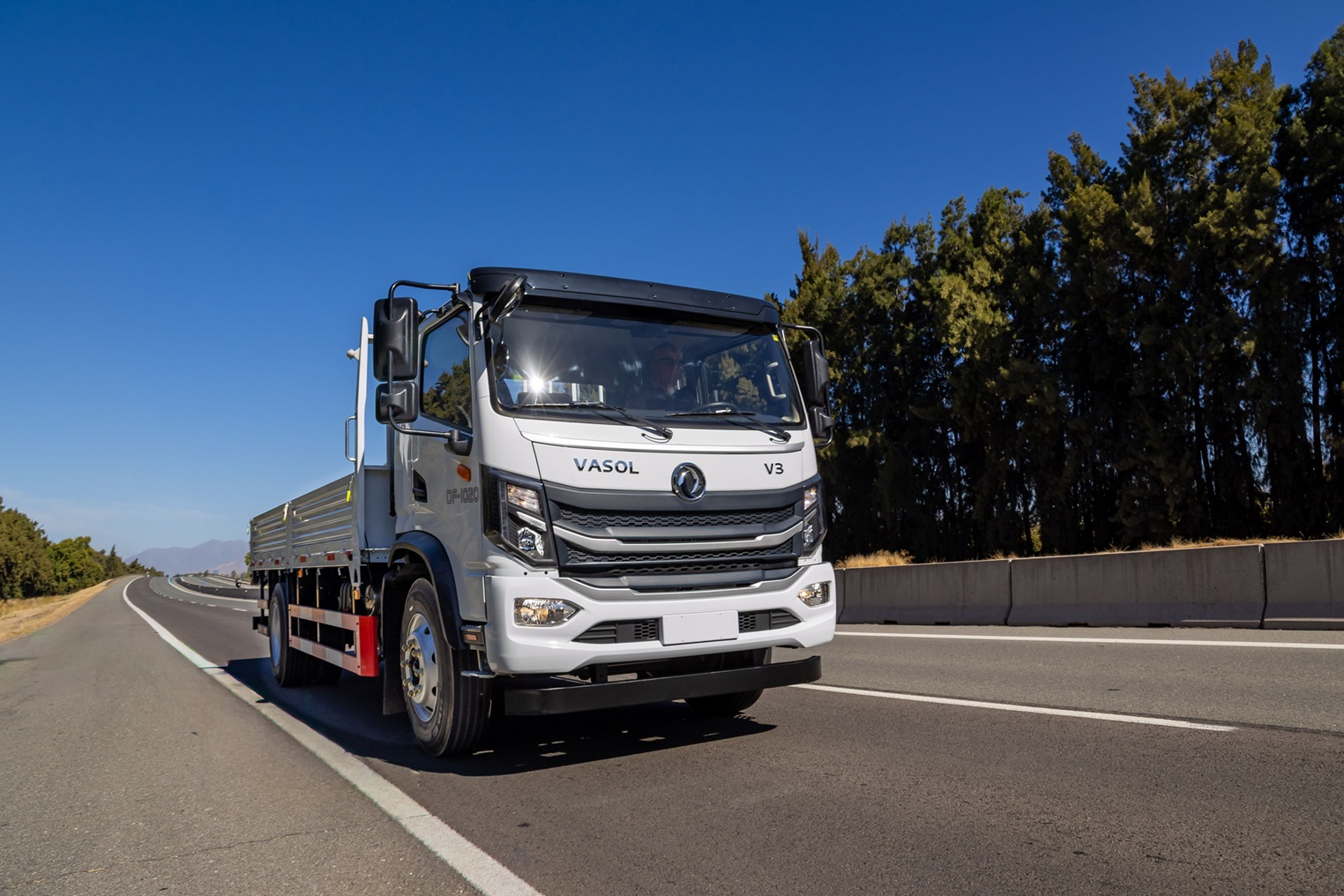 MODELO DF-1020 Pick Up